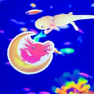 CELESTalotl Axolotl Crazy Trending WaterProof Single Decor Accent Sticker